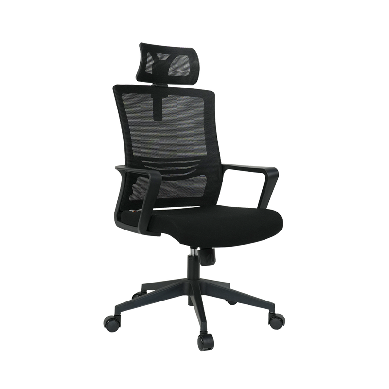 Ergolux designer high best sale back mesh office chair